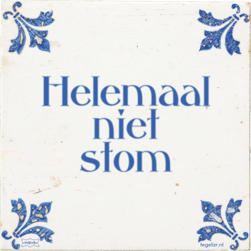 Helemaal niet stom - Online tegeltjes bakken