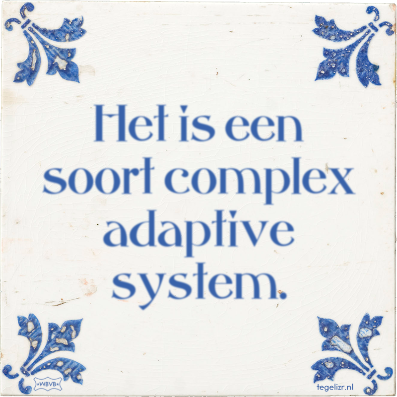 Het is een soort complex adaptive system. - Online tegeltjes bakken
