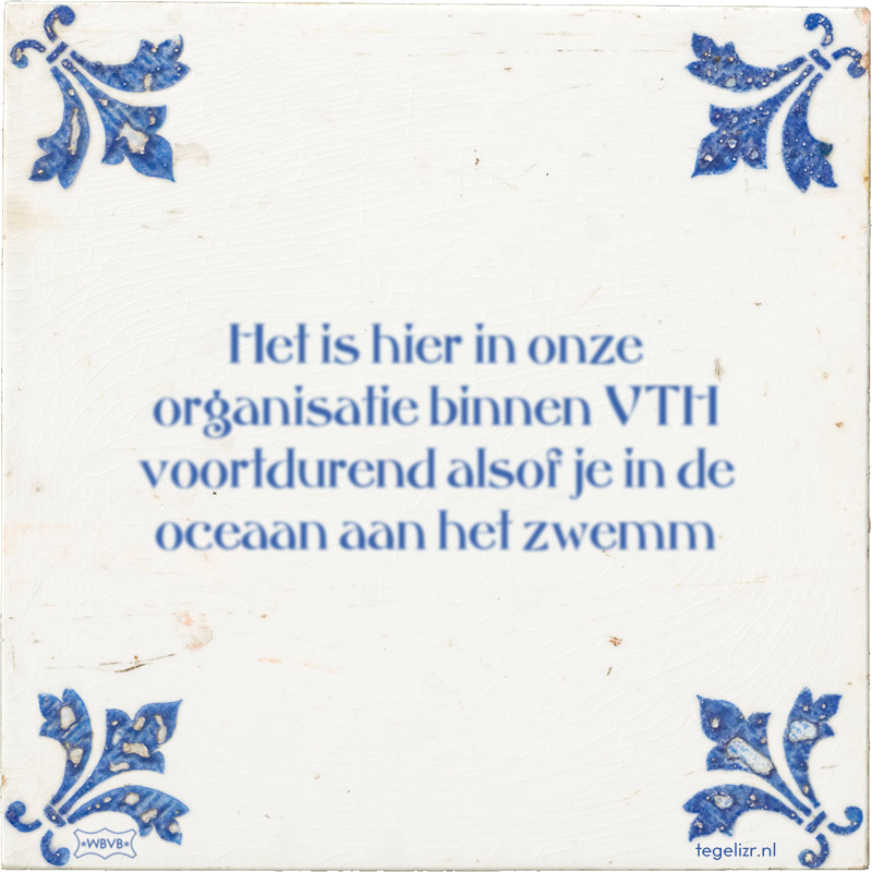 Het is hier in onze organisatie binnen VTH voortdurend alsof je in de oceaan aan het zwemm - Online tegeltjes bakken