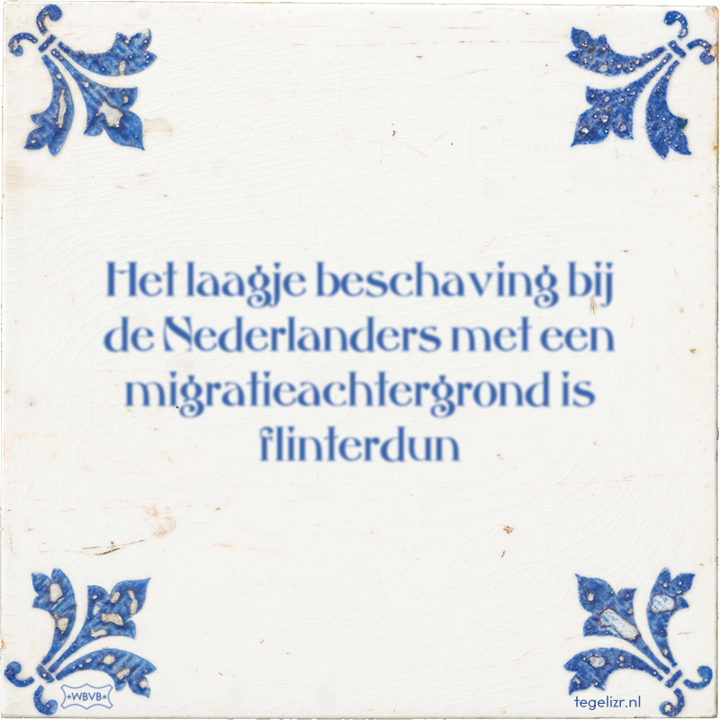 Het laagje beschaving bij de Nederlanders met een migratieachtergrond is flinterdun - Online tegeltjes bakken