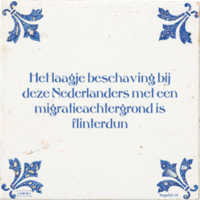 Het laagje beschaving bij deze Nederlanders met een migratieachtergrond is flinterdun - Online tegeltjes bakken