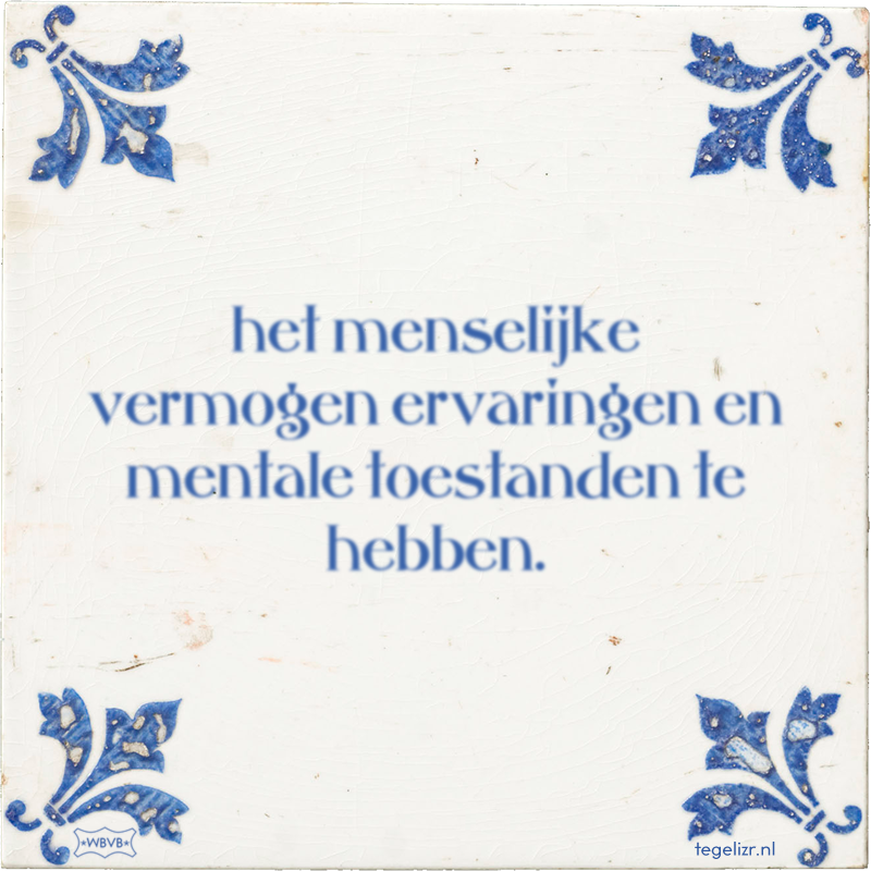 het menselijke vermogen ervaringen en mentale toestanden te hebben. - Online tegeltjes bakken