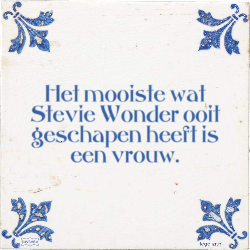 Het mooiste wat Stevie Wonder ooit geschapen heeft is een vrouw. - Online tegeltjes bakken
