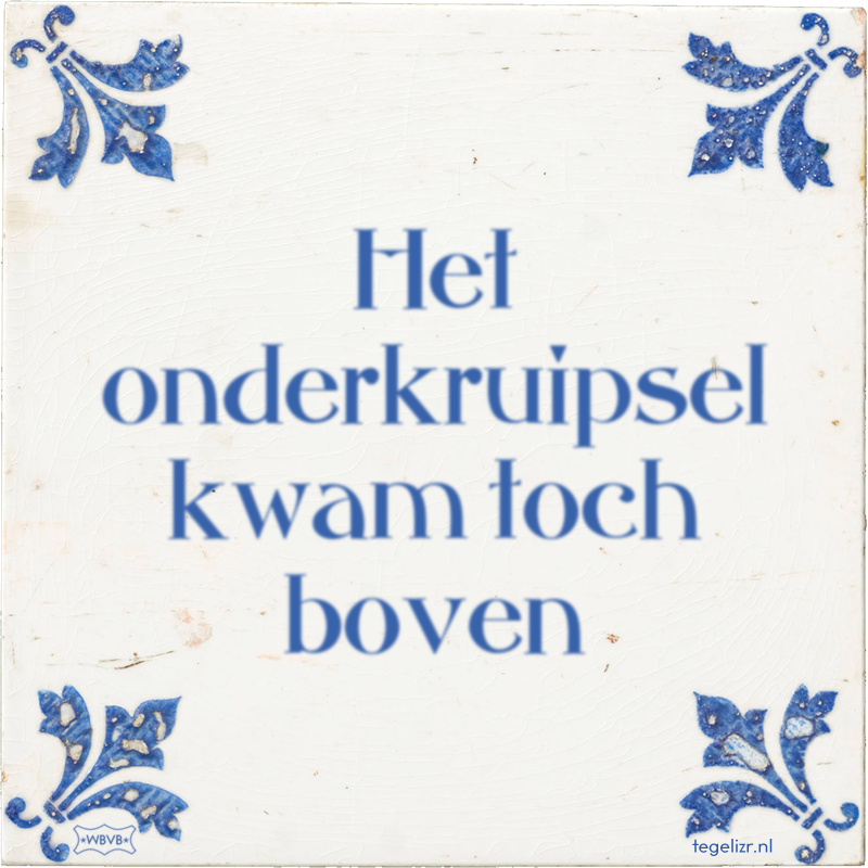 Het onderkruipsel kwam toch boven - Online tegeltjes bakken