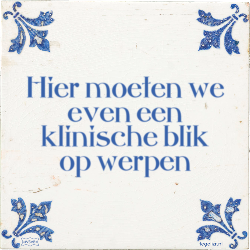 Hier moeten we even een klinische blik op werpen - Online tegeltjes bakken