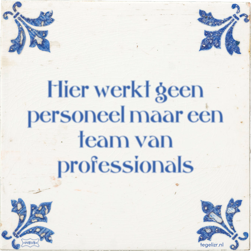 Hier werkt geen personeel maar een team van professionals - Online tegeltjes bakken