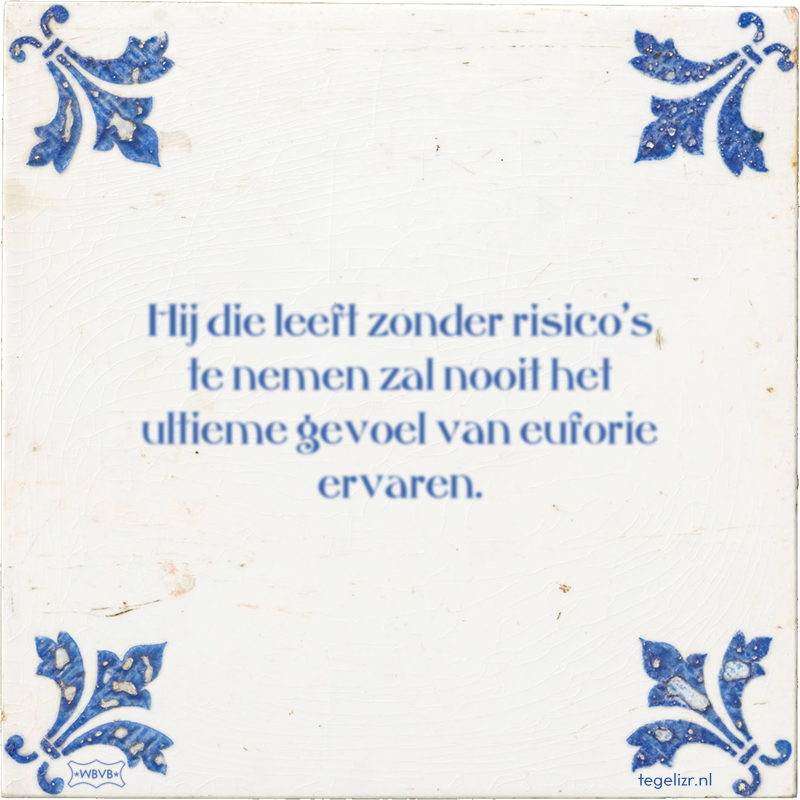 Hij die leeft zonder risico's te nemen zal nooit het ultieme gevoel van euforie ervaren. - Online tegeltjes bakken