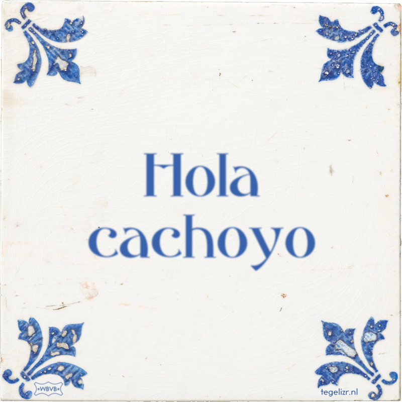 Hola cachoyo - Online tegeltjes bakken