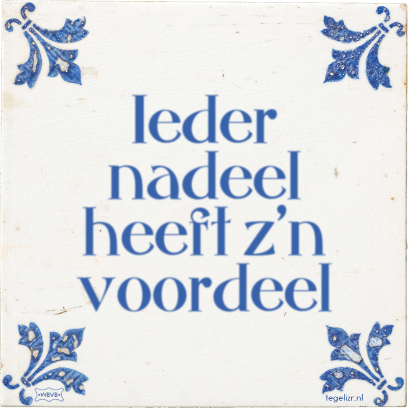 Ieder nadeel heeft z'n voordeel - Online tegeltjes bakken