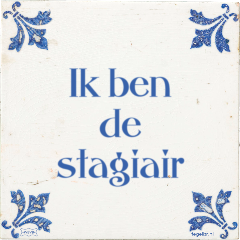 Ik ben de stagiair - Online tegeltjes bakken