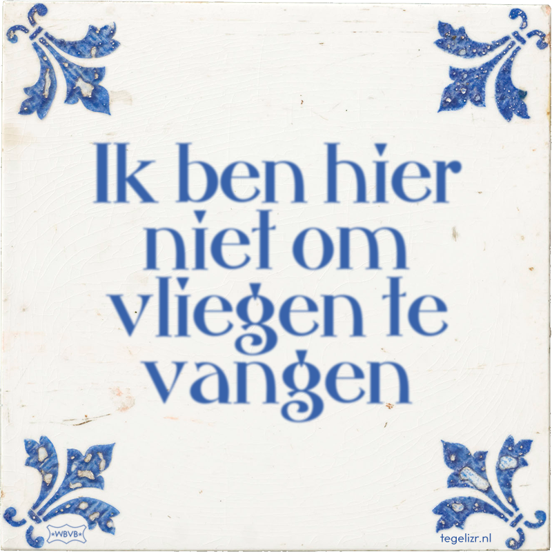 Ik ben hier niet om vliegen te vangen - Online tegeltjes bakken