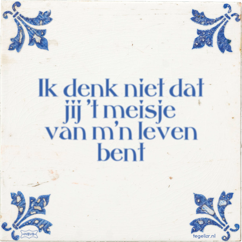 Ik denk niet dat jij 't meisje van m'n leven bent - Online tegeltjes bakken