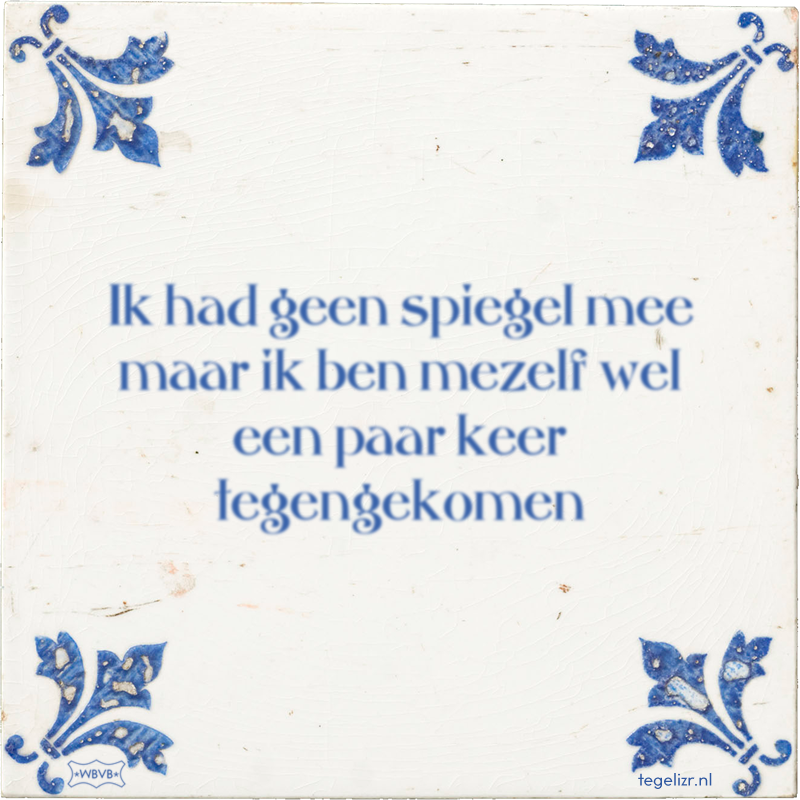 Ik had geen spiegel mee maar ik ben mezelf wel een paar keer tegengekomen - Online tegeltjes bakken