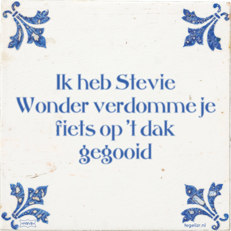 Ik heb Stevie Wonder verdomme je fiets op 't dak gegooid - Online tegeltjes bakken