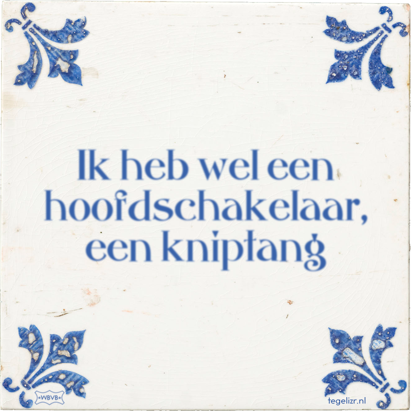 Ik heb wel een hoofdschakelaar, een kniptang - Online tegeltjes bakken