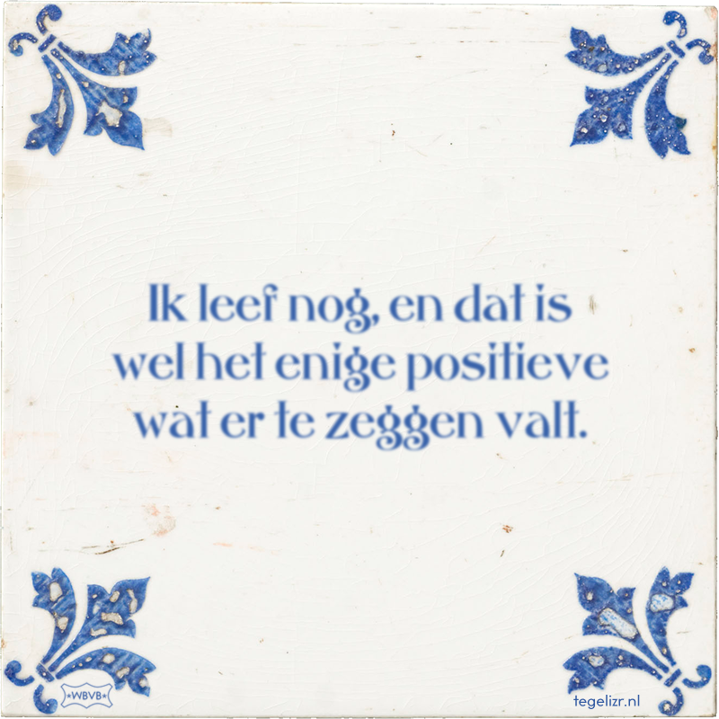 Ik leef nog, en dat is wel het enige positieve wat er te zeggen valt. - Online tegeltjes bakken
