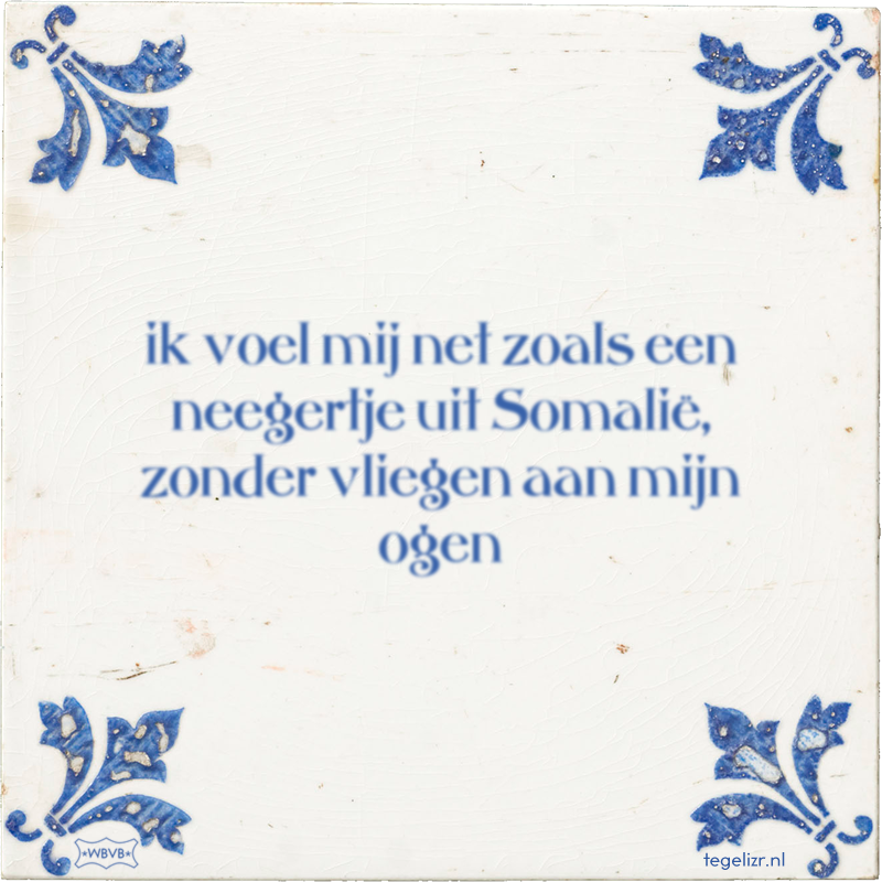 ik voel mij net zoals een neegertje uit Somalië, zonder vliegen aan mijn ogen - Online tegeltjes bakken