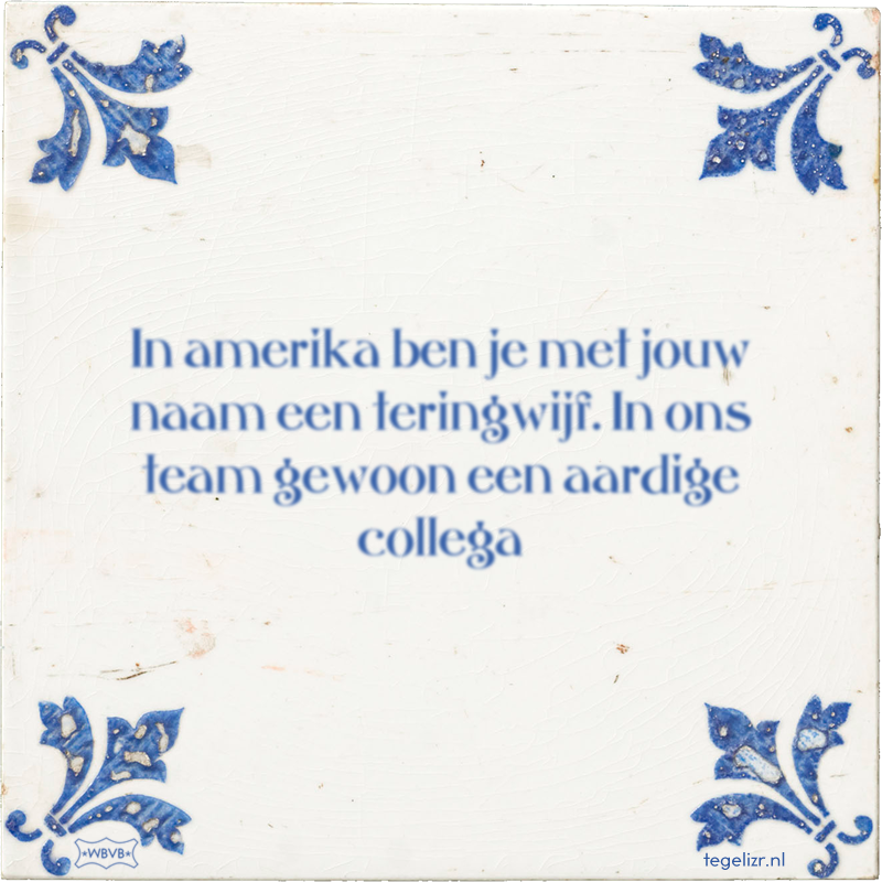 In amerika ben je met jouw naam een teringwijf. In ons team gewoon een aardige collega - Online tegeltjes bakken