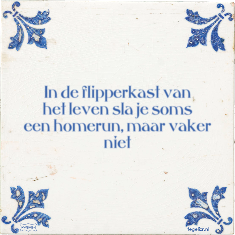 In de flipperkast van het leven sla je soms een homerun, maar vaker niet - Online tegeltjes bakken