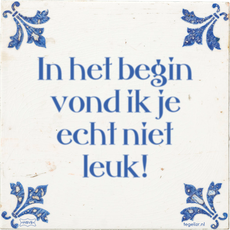 In het begin vond ik je echt niet leuk! - Online tegeltjes bakken