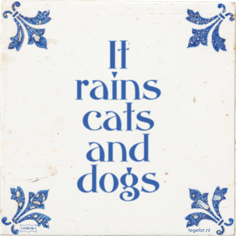 It rains cats and dogs - Online tegeltjes bakken