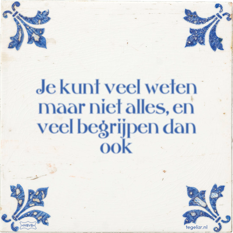 Je kunt veel weten maar niet alles, en veel begrijpen dan ook - Online tegeltjes bakken