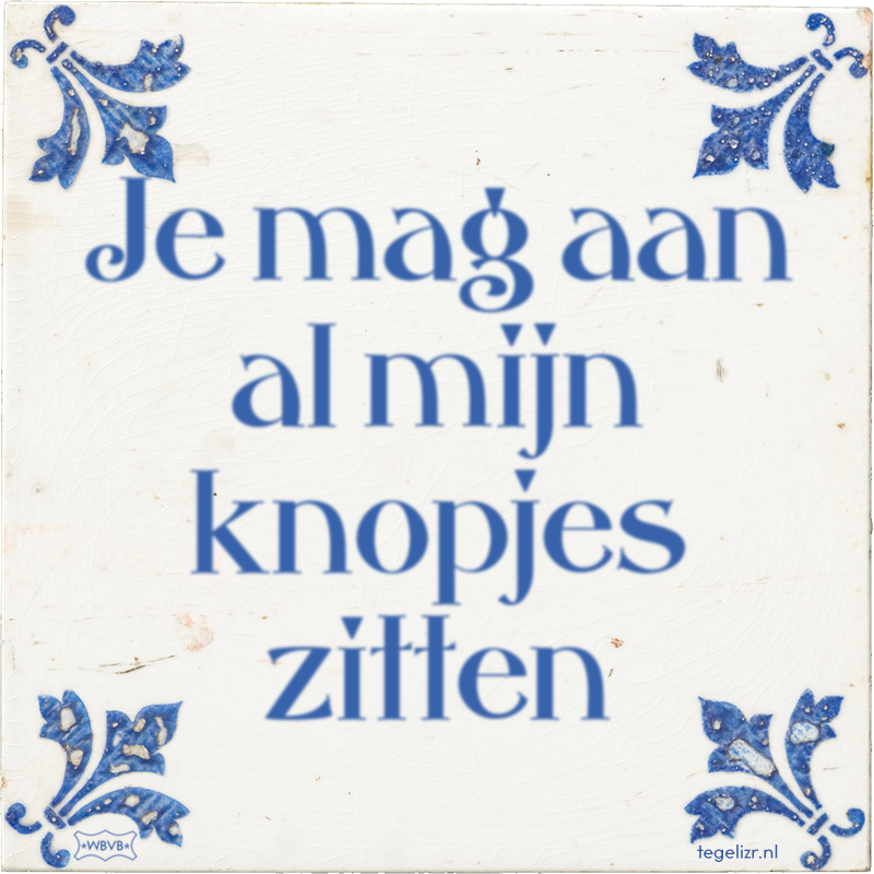 Je mag aan al mijn knopjes zitten - Online tegeltjes bakken