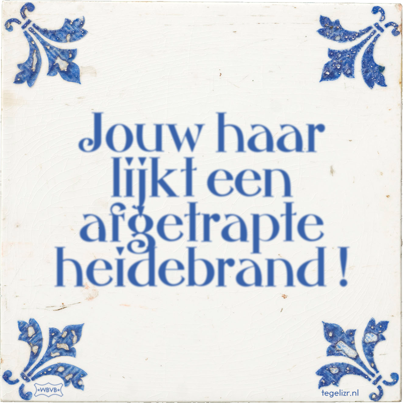 Jouw haar lijkt een afgetrapte heidebrand ! - Online tegeltjes bakken