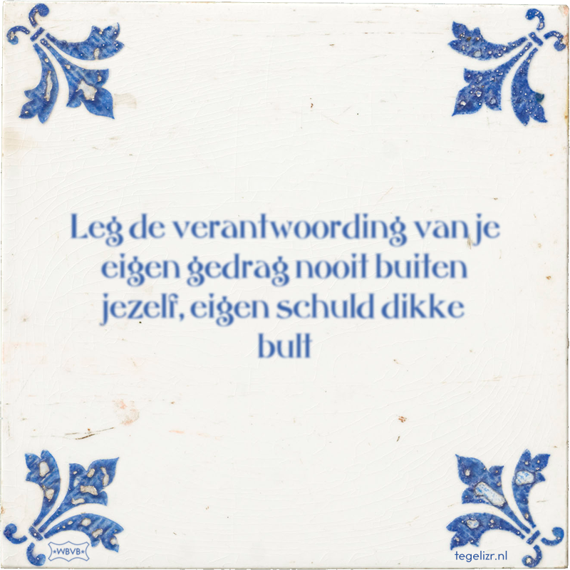 Leg de verantwoording van je eigen gedrag nooit buiten jezelf, eigen schuld dikke bult - Online tegeltjes bakken