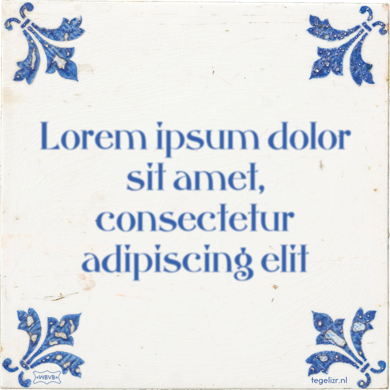 Lorem ipsum dolor sit amet, consectetur adipiscing elit - Online tegeltjes bakken