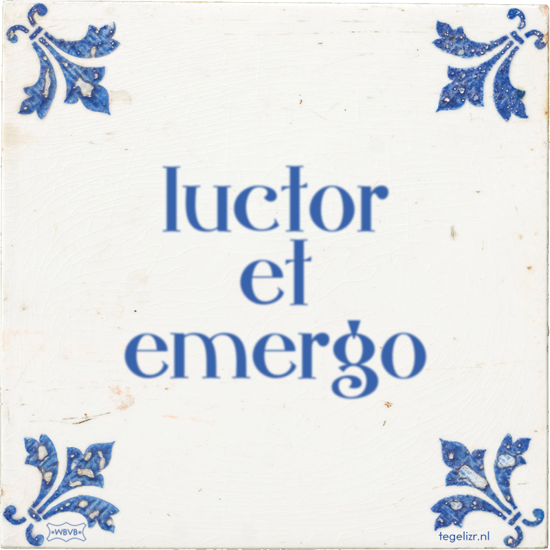 luctor et emergo - Online tegeltjes bakken