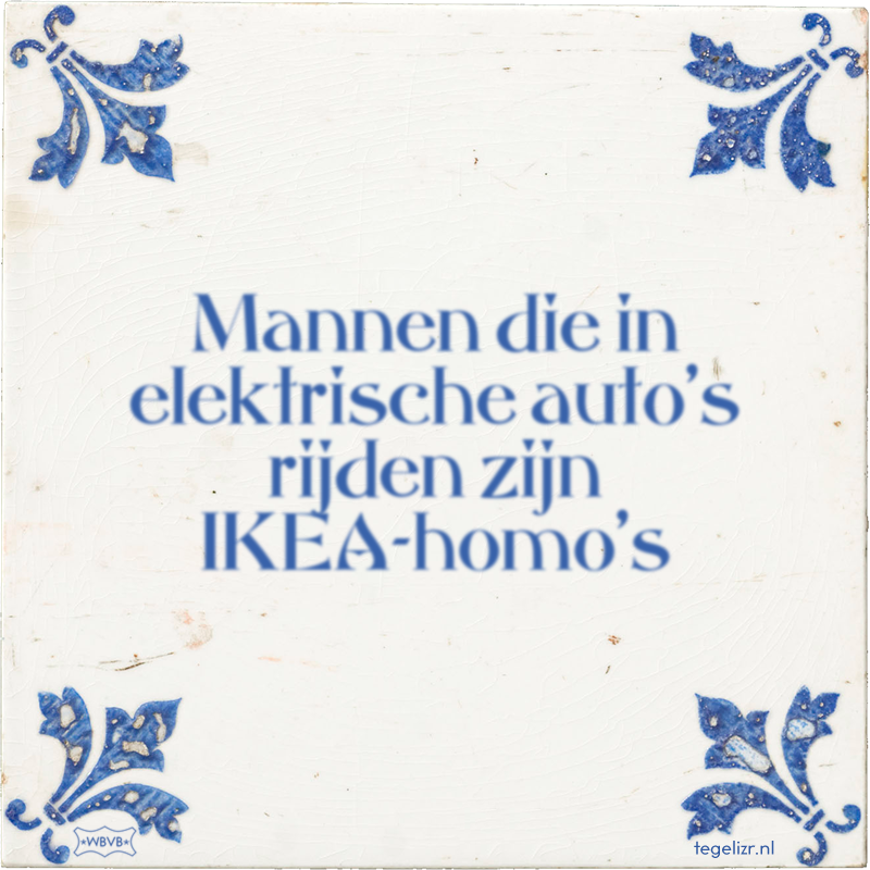 Mannen die in elektrische auto's rijden zijn IKEA-homo's - Online tegeltjes bakken