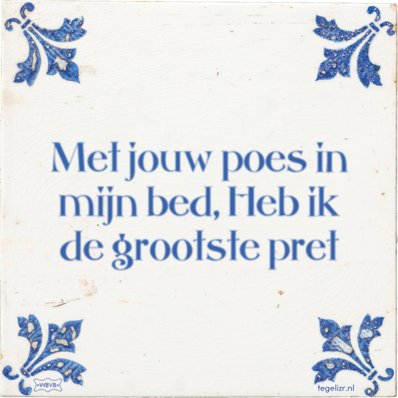 Met jouw poes in mijn bed, Heb ik de grootste pret - Online tegeltjes bakken