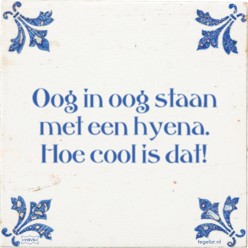 Oog in oog staan met een hyena. Hoe cool is dat! - Online tegeltjes bakken