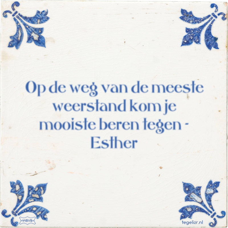 Op de weg van de meeste weerstand kom je mooiste beren tegen - Esther - Online tegeltjes bakken