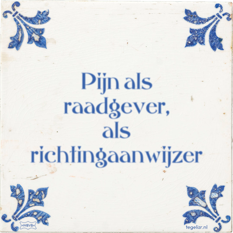 Pijn als raadgever, als richtingaanwijzer - Online tegeltjes bakken