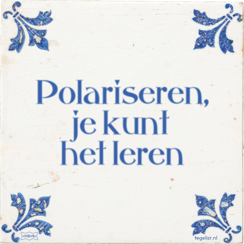 Polariseren, je kunt het leren - Online tegeltjes bakken