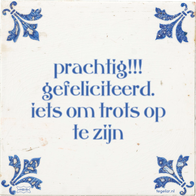 prachtig!!! gefeliciteerd. iets om trots op te zijn - Online tegeltjes bakken