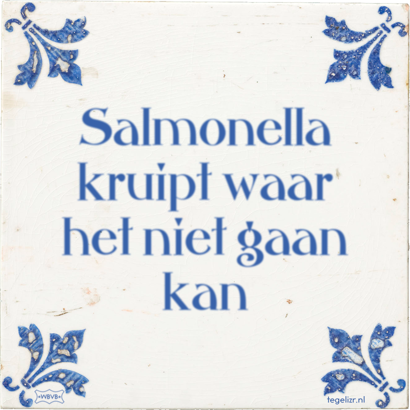 Salmonella kruipt waar het niet gaan kan - Online tegeltjes bakken