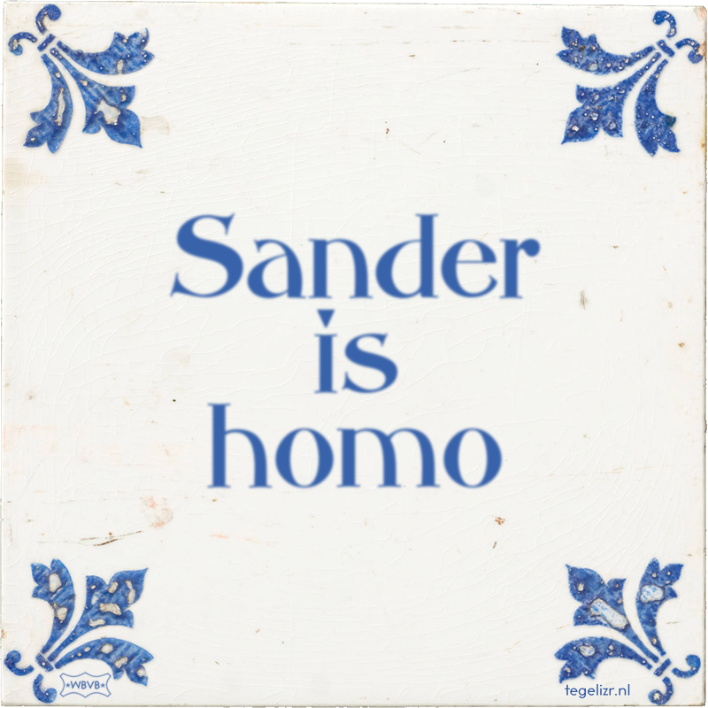 Sander is homo - Online tegeltjes bakken