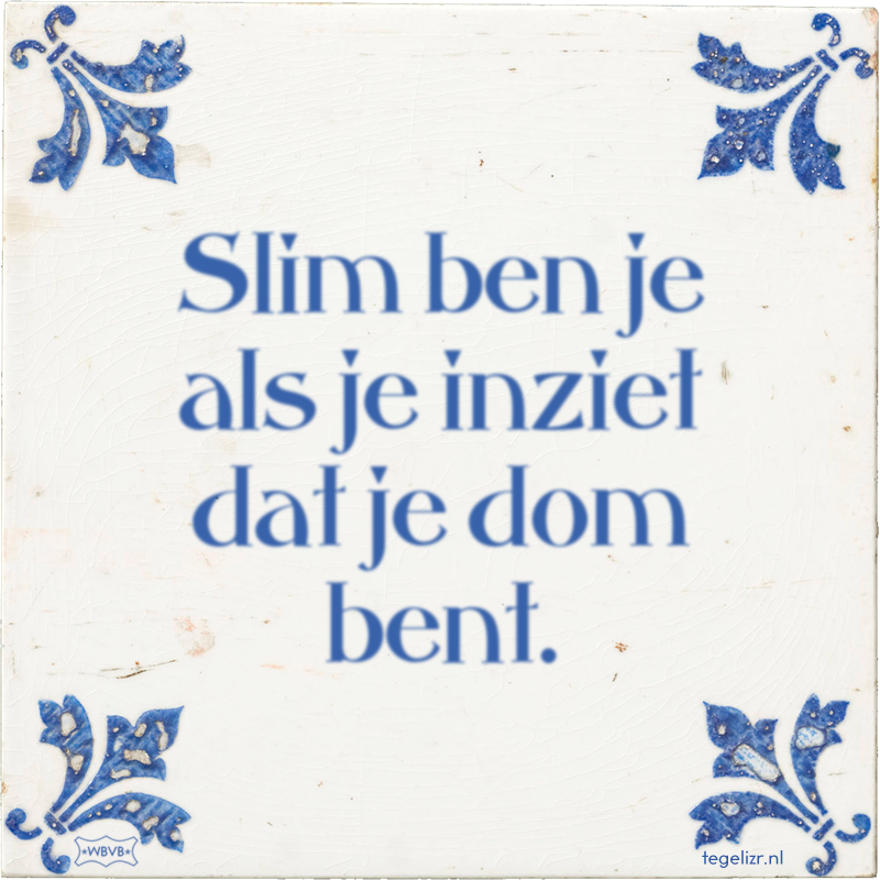 Slim ben je als je inziet dat je dom bent. - Online tegeltjes bakken