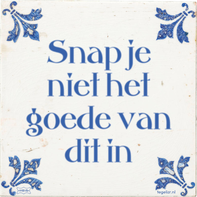 Snap je niet het goede van dit in - Online tegeltjes bakken