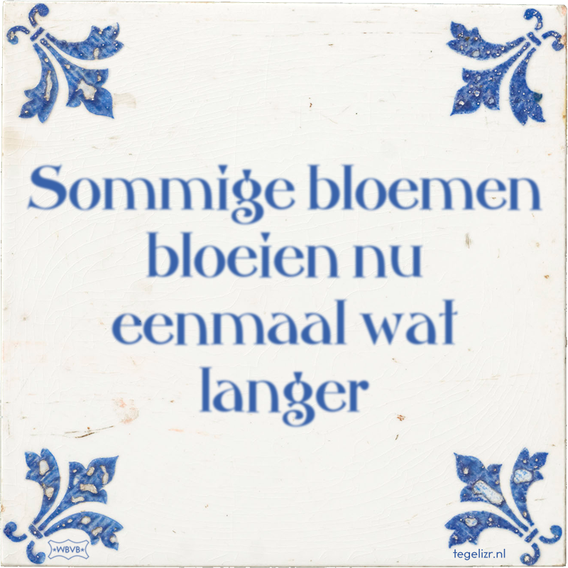 Sommige bloemen bloeien nu eenmaal wat langer - Online tegeltjes bakken