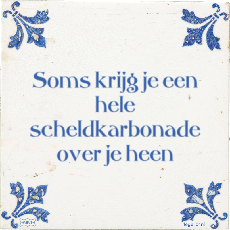 Soms krijg je een hele scheldkarbonade over je heen - Online tegeltjes bakken