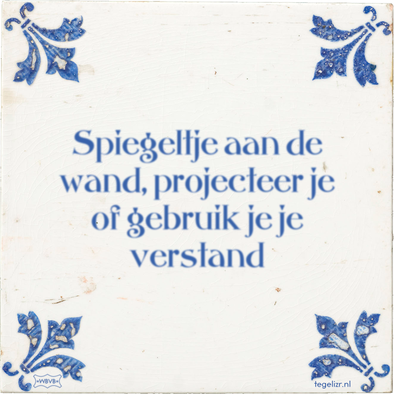 Spiegeltje aan de wand, projecteer je of gebruik je je verstand - Online tegeltjes bakken