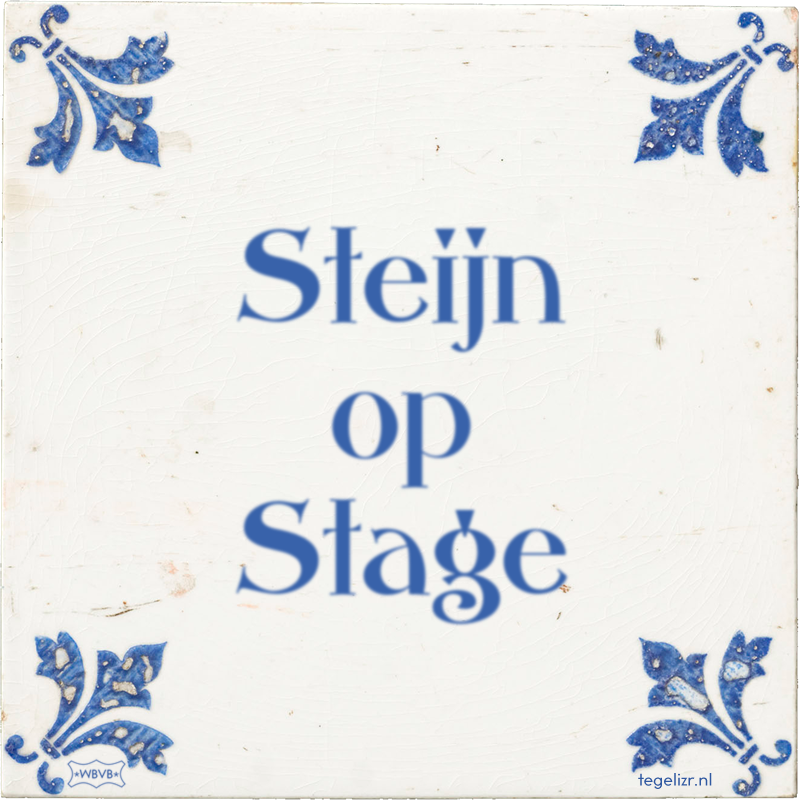 Steijn op Stage - Online tegeltjes bakken
