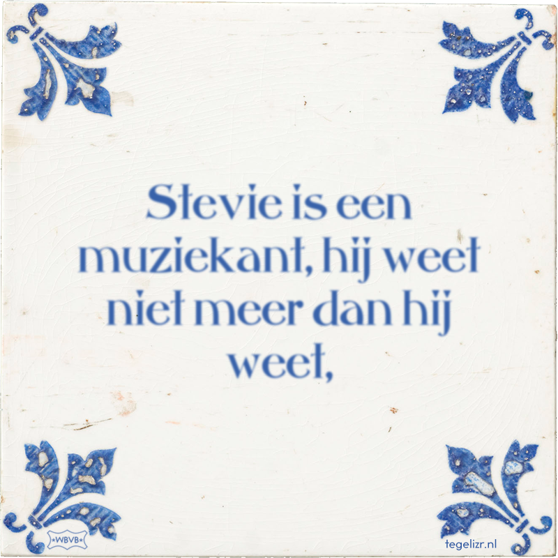 Stevie is een muziekant, hij weet niet meer dan hij weet, - Online tegeltjes bakken