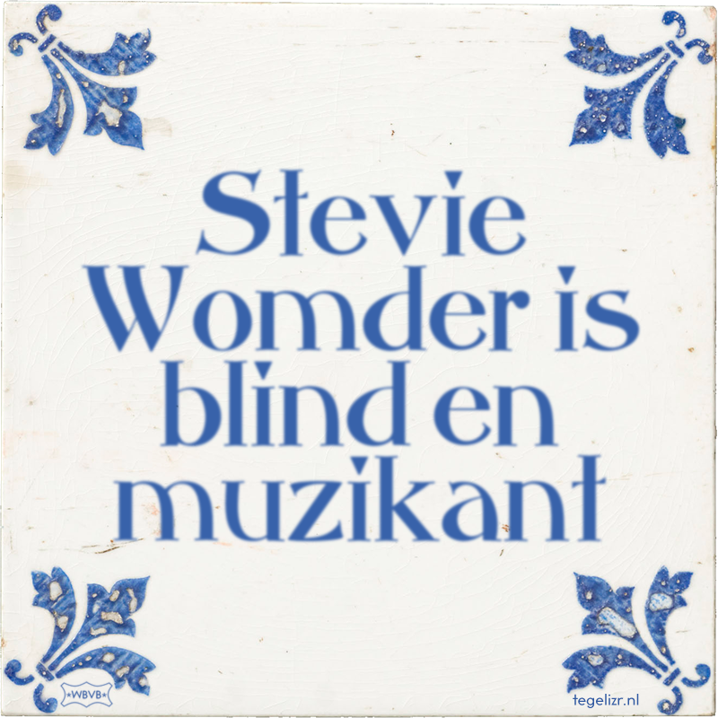 Stevie Womder is blind en muzikant - Online tegeltjes bakken