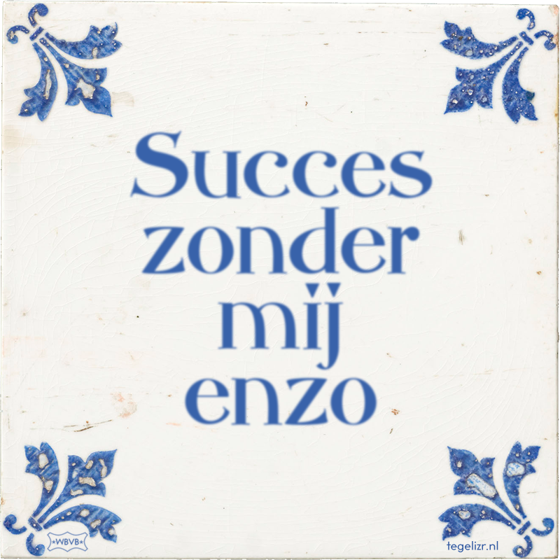 Succes zonder mij enzo - Online tegeltjes bakken