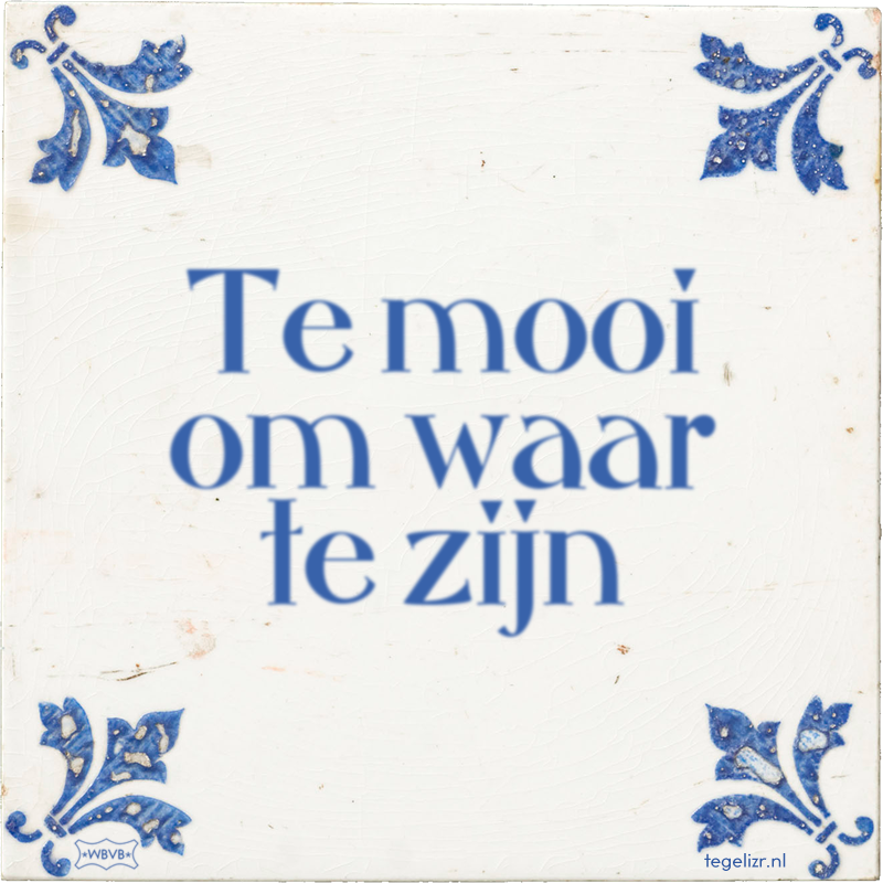 Te mooi om waar te zijn - Online tegeltjes bakken